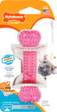 Nylabone Puppy Chew Teething Bone