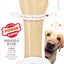 Nylabone Power Chew Bone