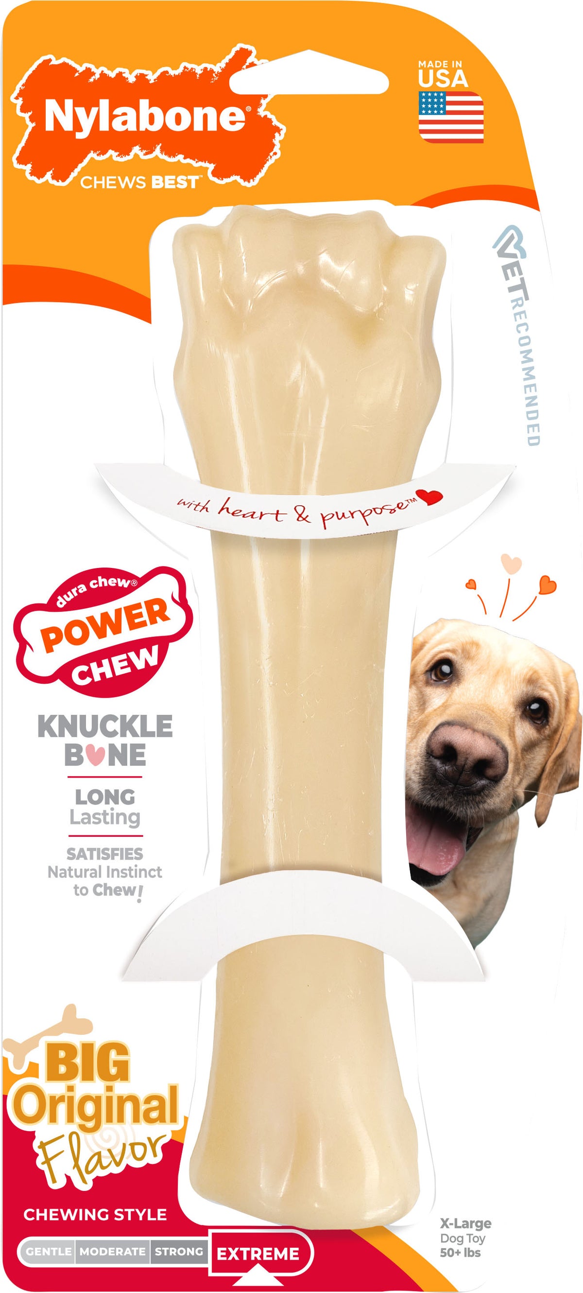 Nylabone Power Chew Bone