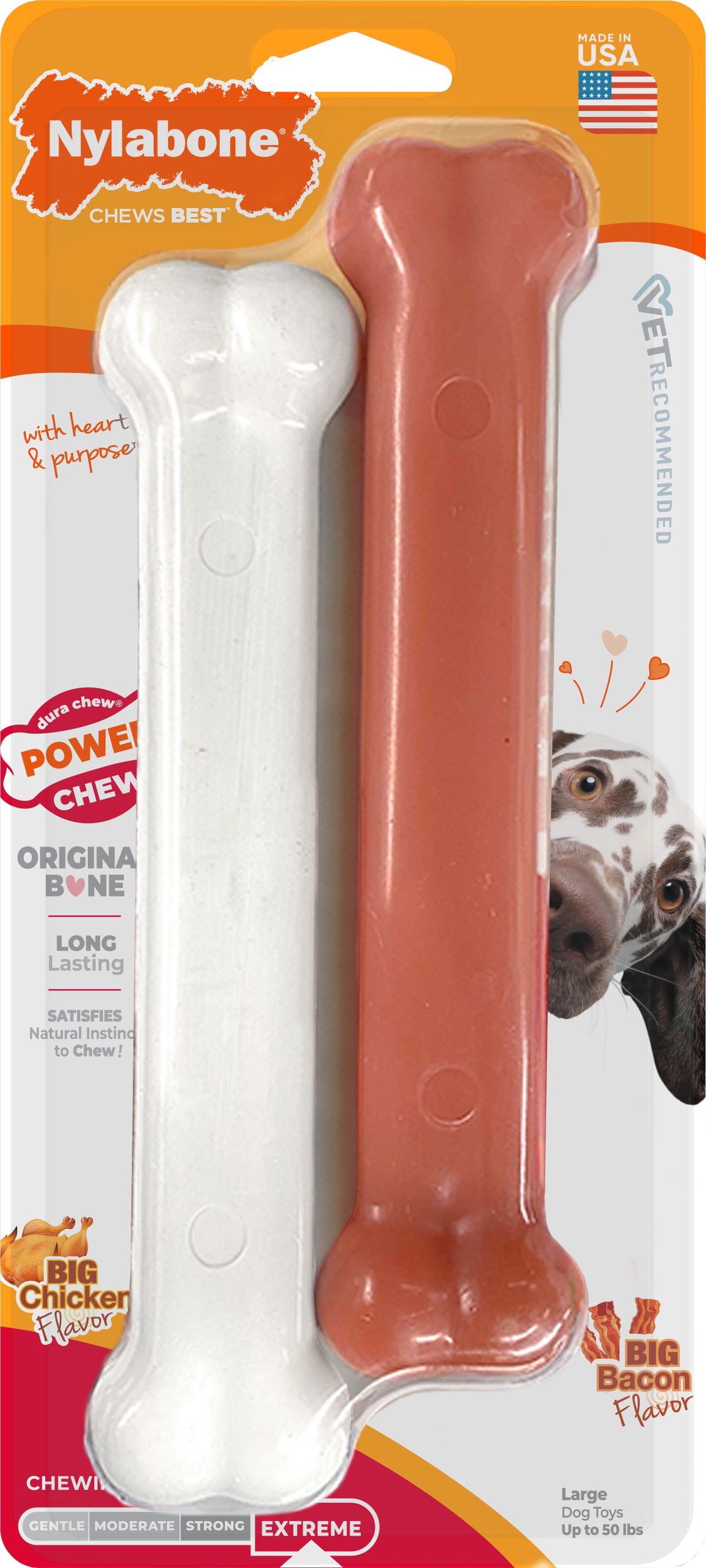 Nylabone Power Chew Bone