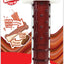 Nylabone Power Chew Basted Blast