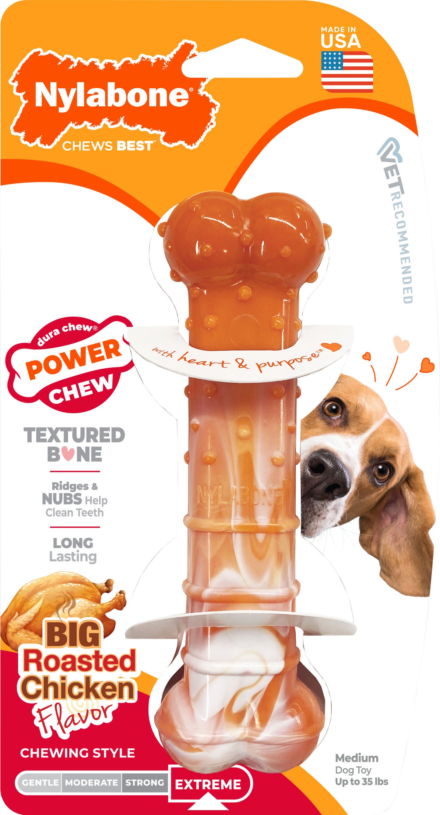 NYLABONE POWER CHEW LIMITED EDITION BONE
