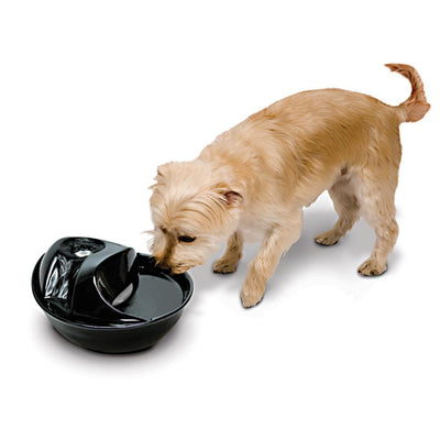 Pioneer Pet Raindrop Fountain, Pet Drinking Fountains (60 oz., Black Ceramic)