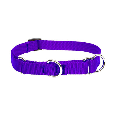 LupinePet Basics 3/4" Purple 10-14" Martingale Collar for Small Dogs