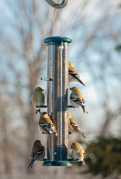 Plastic 8-Port Finch Tube Feeder