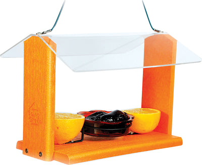 Going Green Deluxe Oriole Feeder in orange, front view with clear roof, holding halved oranges and a black container.