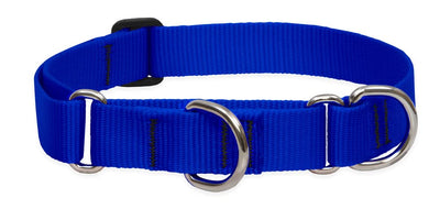 LupinePet Basics 1" Blue 15-22" Martingale Collar for Medium and Larger Dogs