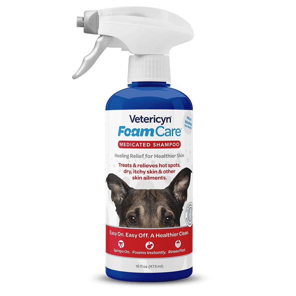 FoamCare Medicated Pet Shampoo by Vetericyn | Sensitive Skin Shampoo for Dogs, Cats, and All Animals - Anti-Itch, Promotes Healthy Skin and Coat - Hypoallergenic - Instant Foam Shampoo - 16-ounce