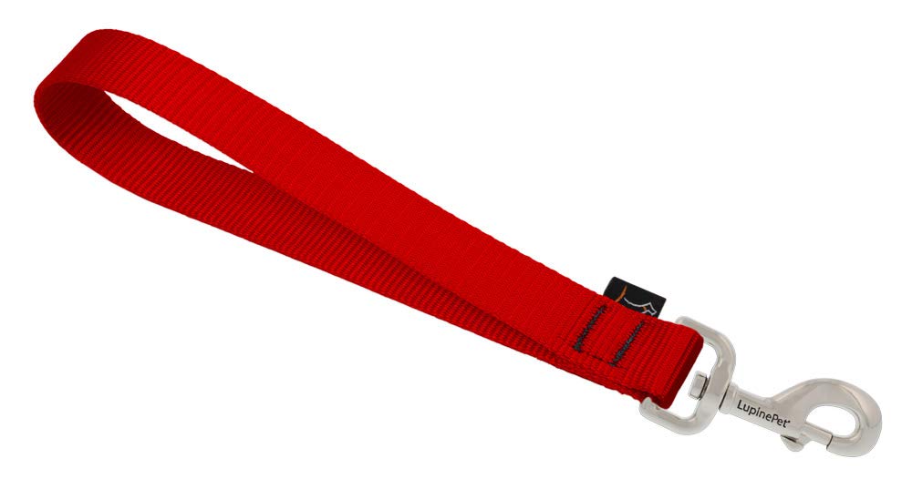 Training Tab by Lupine in 1" Wide Red for Medium and Larger Dogs