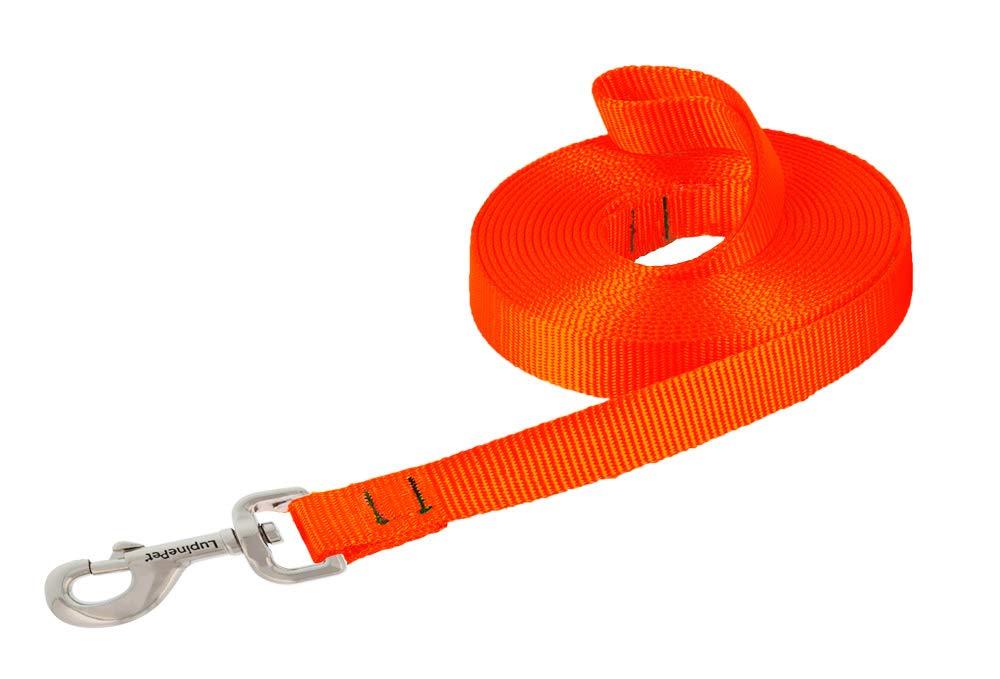 LupinePet Basics 3/4" Blaze Orange 15-Foot Extra-Long Training Lead/Leash for Medium and Larger Dogs