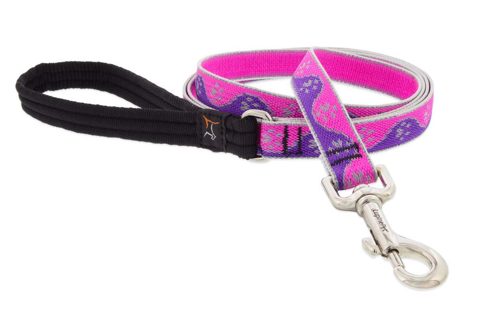 Lupine Reflective Dog Leash 6-Foot by 3/4" Wide Pink Paws