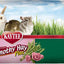 Kaytee Timothy Hay Plus