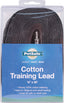Petsafe Cotton Training Lead