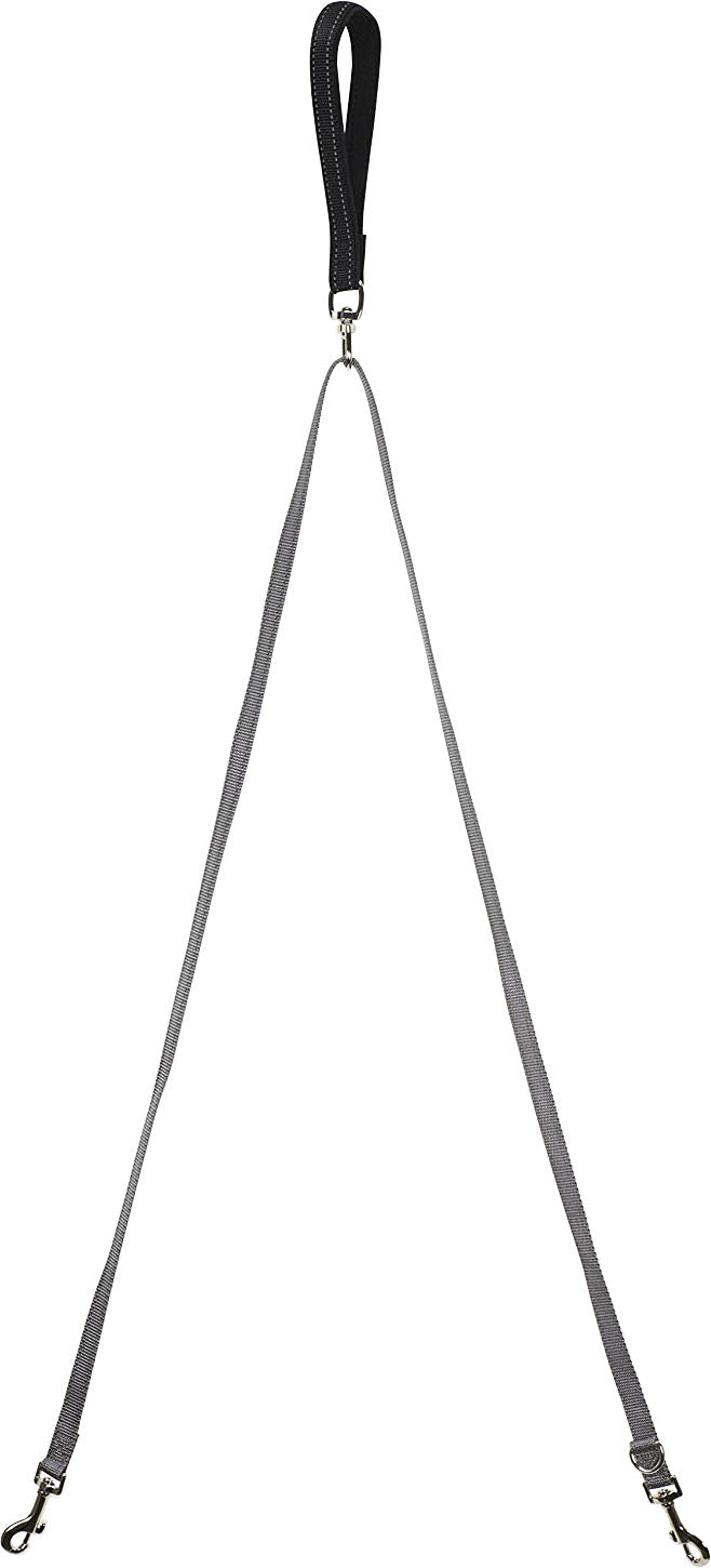 Petsafe Two Point Control Leash