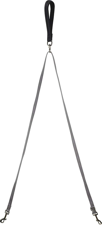 Petsafe Two Point Control Leash