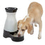 A beige dog drinks from a Petsafe Healthy Pet Water Station in black and white, viewed from the front.