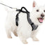 Petsafe Easysport Dog Harness