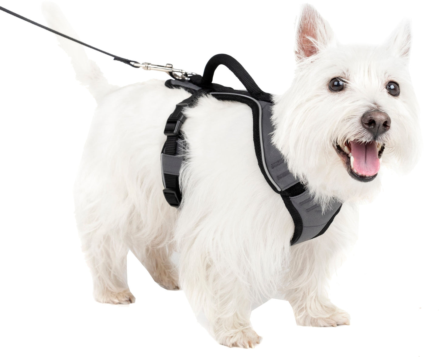 Petsafe Easysport Dog Harness