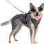 Petsafe Easysport Dog Harness