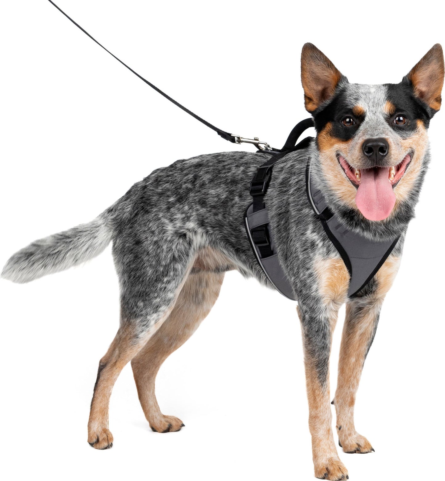 Petsafe Easysport Dog Harness