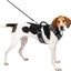 Petsafe Easysport Dog Harness