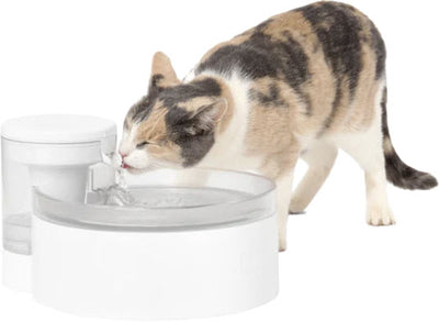 Petsafe Outlast Pumpless Pet Fountain
