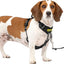 Petsafe Easy Walk Comfort Harness