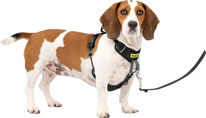 Petsafe Easy Walk Comfort Harness
