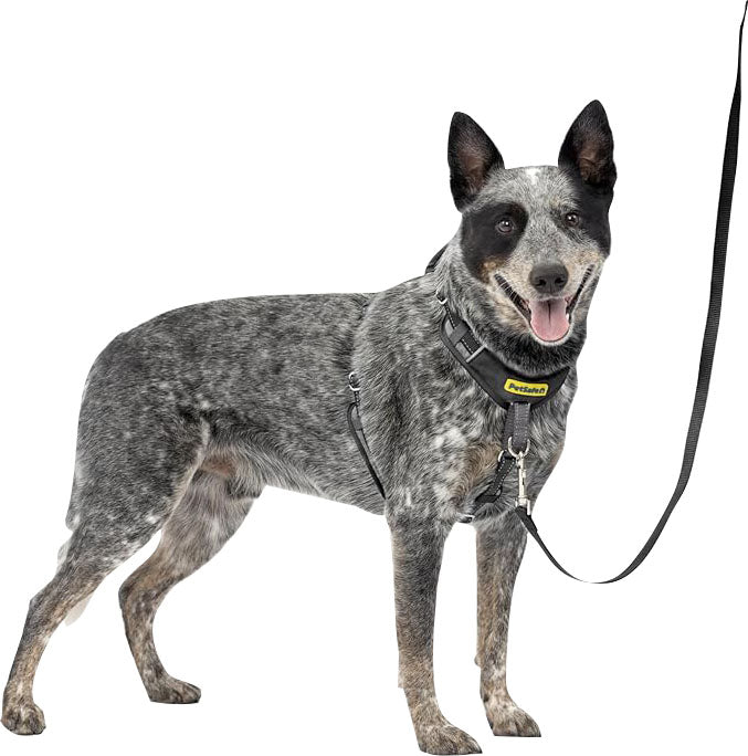 Petsafe Easy Walk Comfort Harness