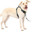 Petsafe Easy Walk Comfort Harness