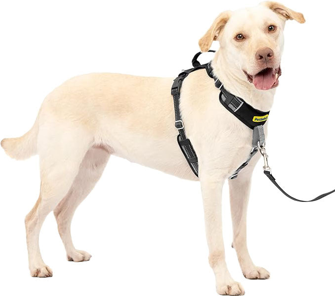 Petsafe Easy Walk Comfort Harness