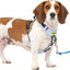 Petsafe Easy Walk Comfort Harness