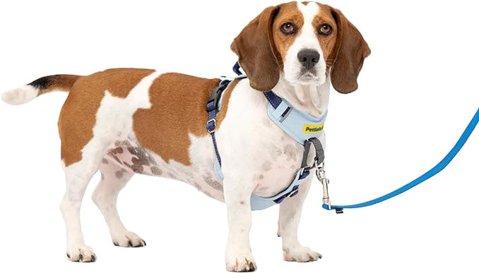 Petsafe Easy Walk Comfort Harness