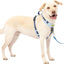 Petsafe Easy Walk Comfort Harness