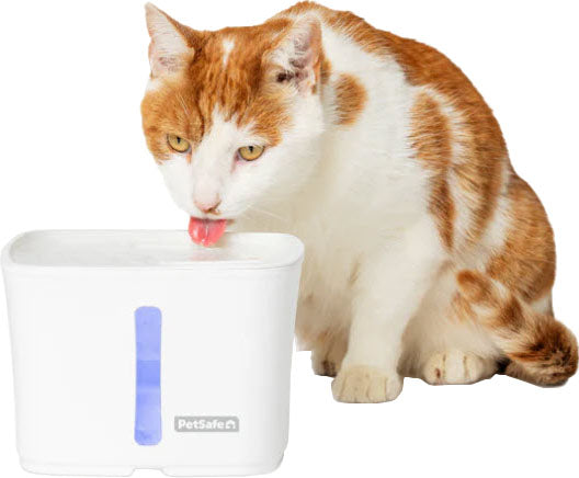 Petsafe Viva Pet Fountain Plastic Tray