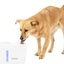 Petsafe Viva Pet Fountain Plastic Tray