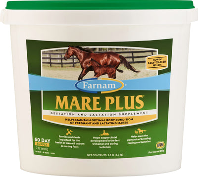 Mare Plus Gestation & Lactation Supplement
