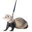 Marshall Ferret Harness And Lead