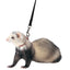 Marshall Ferret Harness And Lead