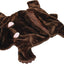 MARSHALL BEAR RUG FOR SMALL ANIMALS