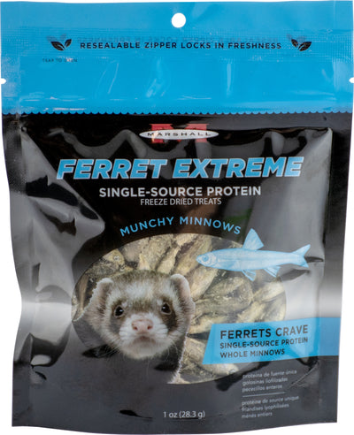 Marshall Ferret Extreme Treats