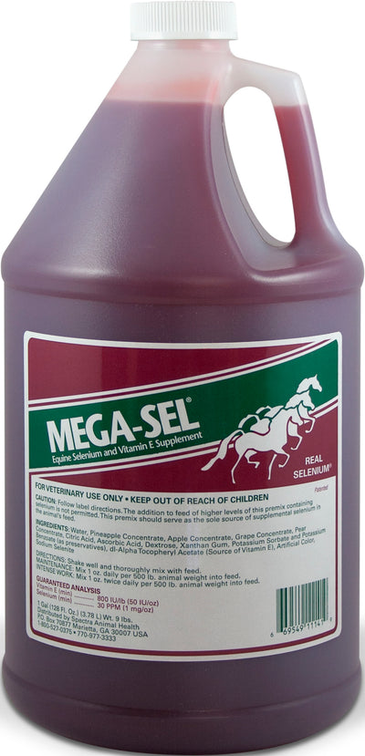 Front view of a 1-gallon bottle of Mega-Sel equine selenium and vitamin E supplement with a purple liquid.