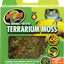 Terrarium Moss