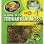 Terrarium Moss