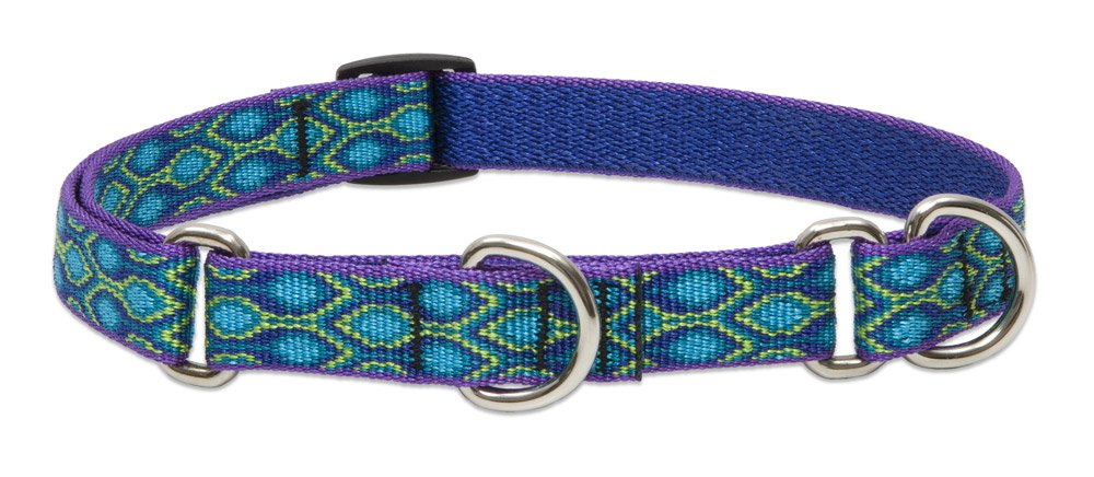 LupinePet Originals 3/4" Rain Song 14-20" Martingale Collar for Medium and Larger Dogs