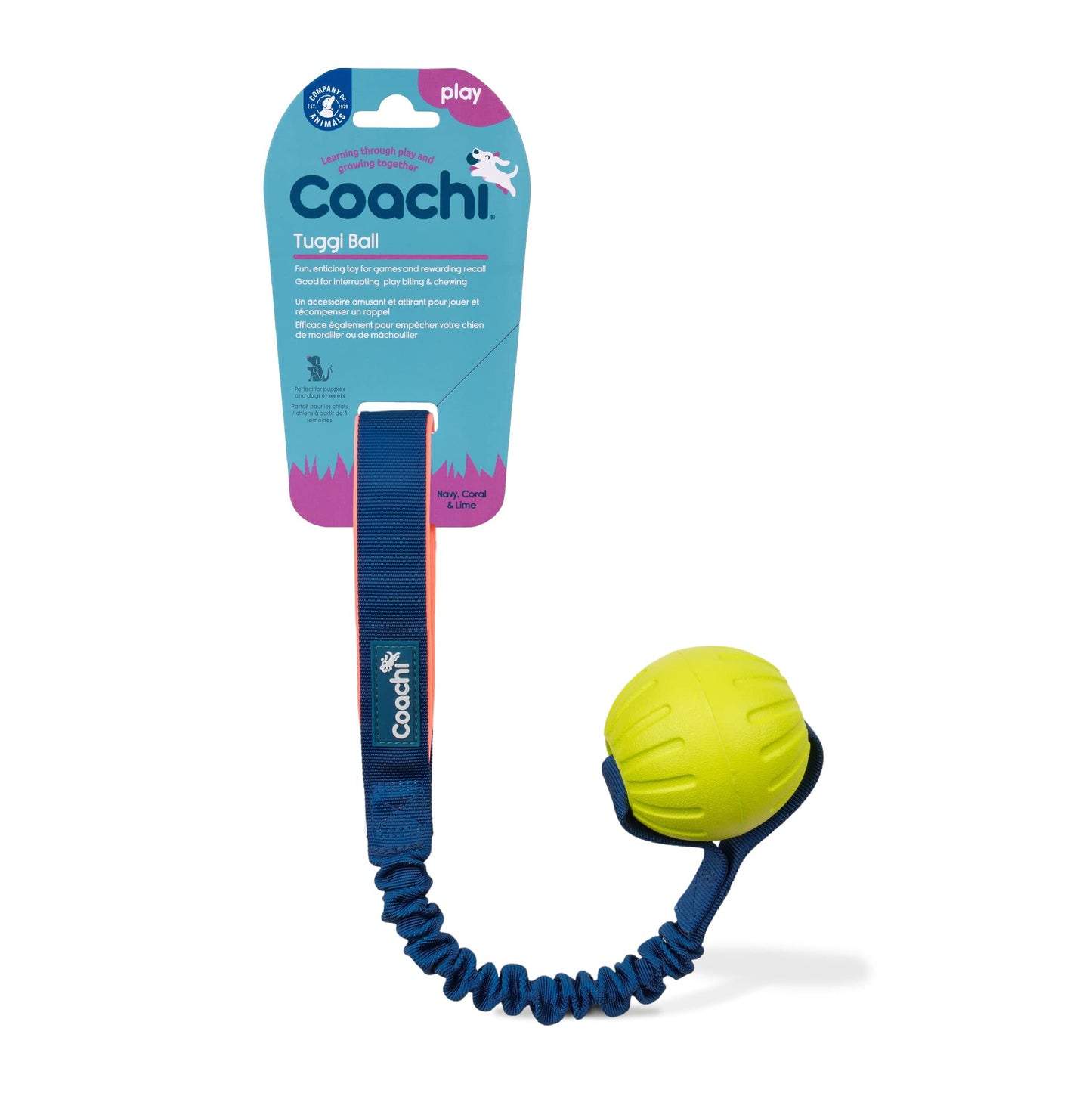 Coachi Tuggi Ball - Interactive Dog Toy for Tug of War & Play. Strong & Comfortable, Stretchy Bungee Handle, Reward Training, Interrupting Biting & Chewing. Ideal for Agility and Suitable for Puppies