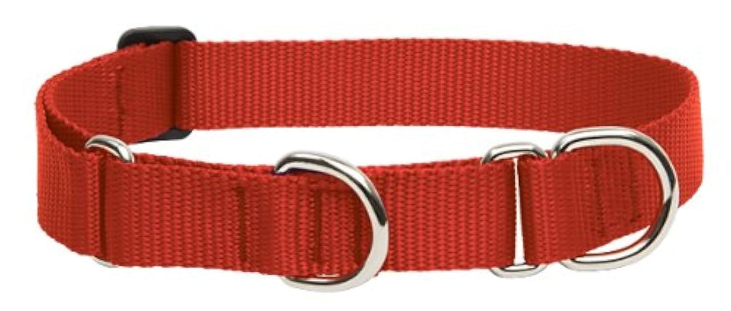 LupinePet Basics 1" Red 15-22" Martingale Collar for Medium and Larger Dogs