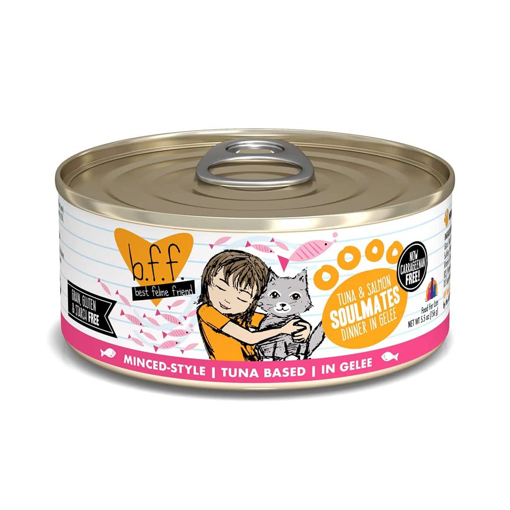 BFF, Weruva Soulmates Tuna/Salmon, 5.5 Ounce