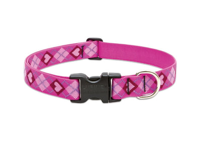 LupinePet Originals 1" Puppy Love 16-28" Adjustable Collar for Large Dogs