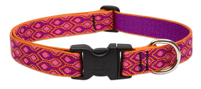 LupinePet Originals 1" Alpen Glow 16-28" Adjustable Collar for Large Dogs